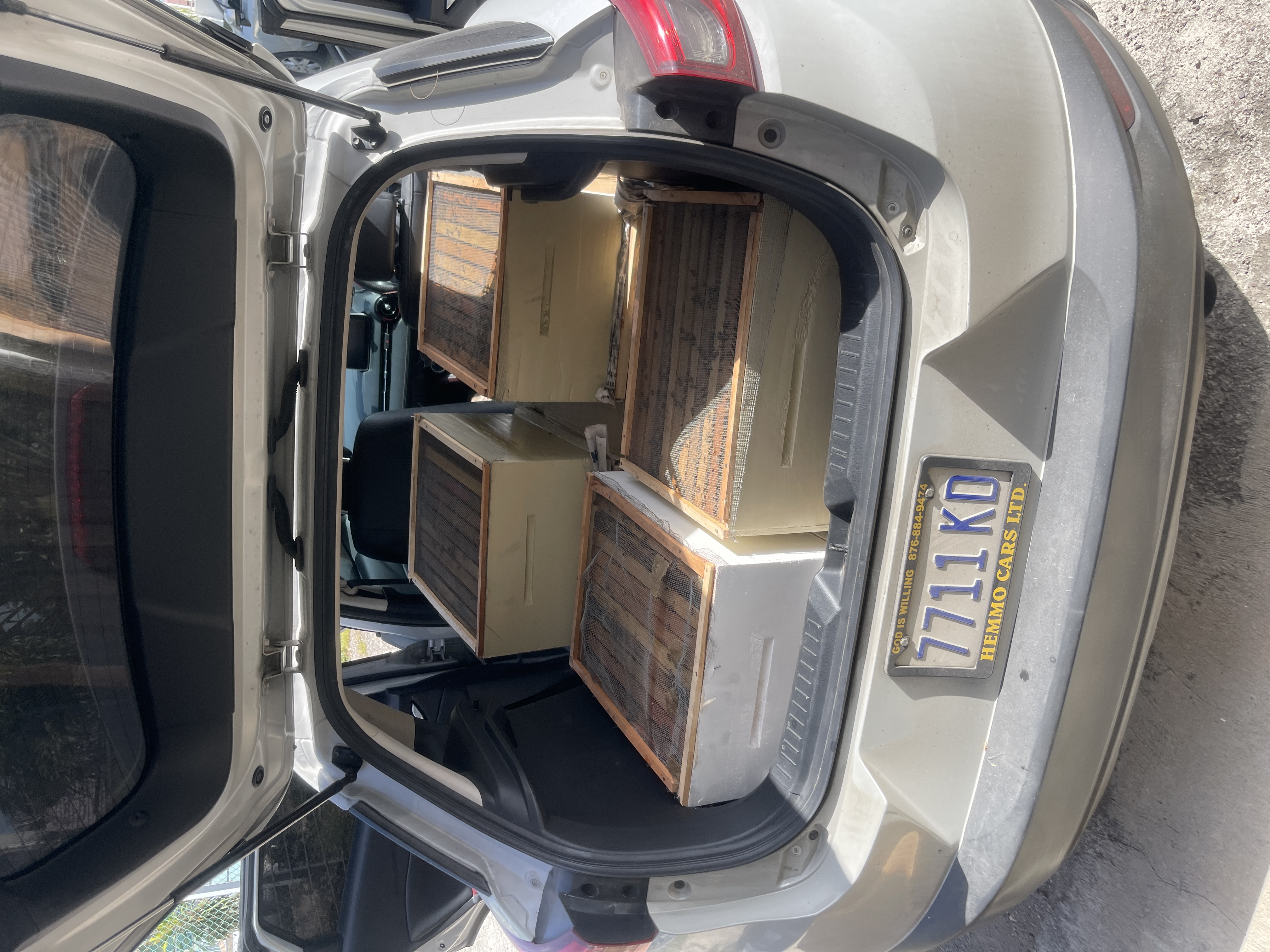 Transporting the first four bee hives