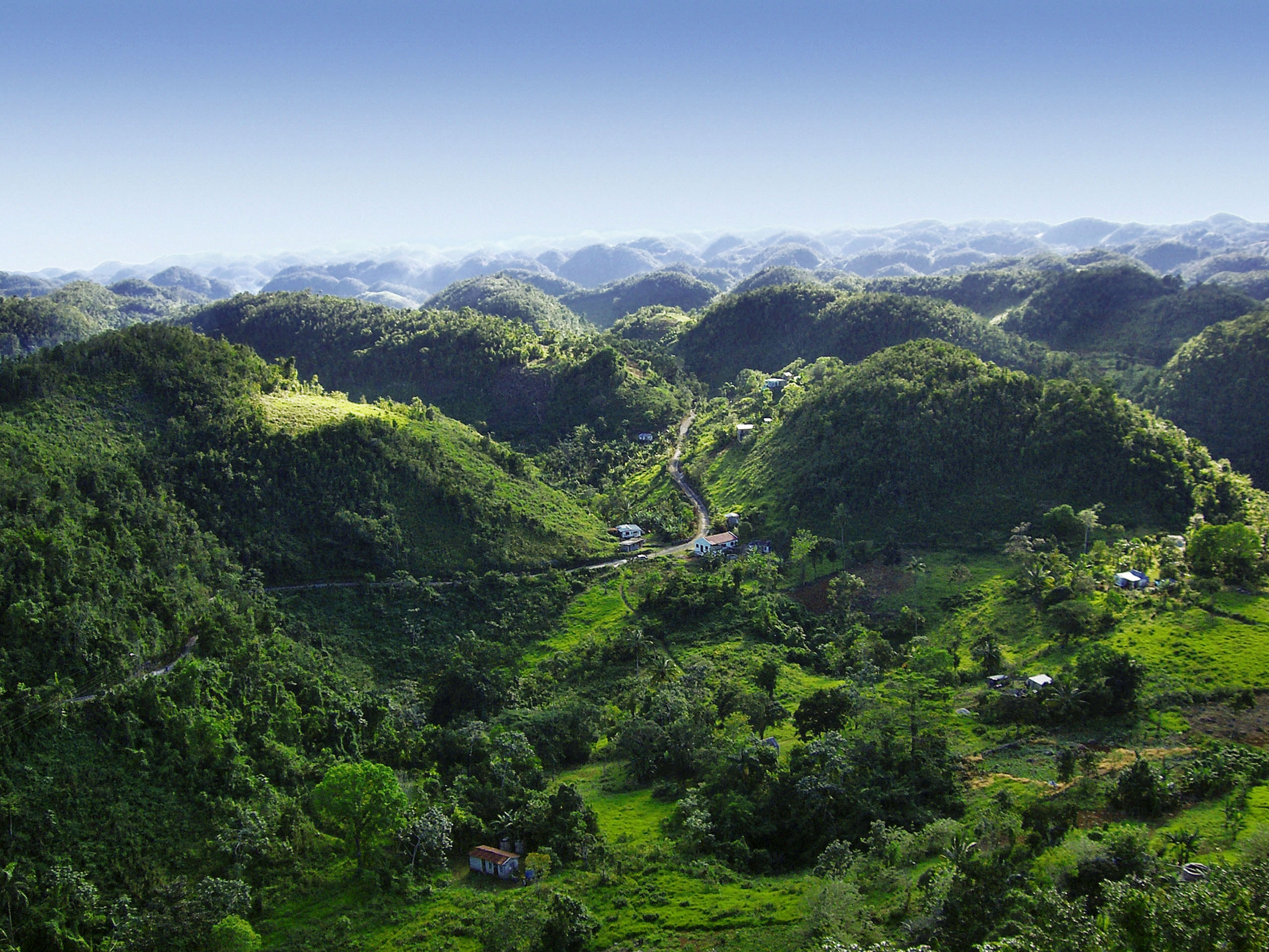 Pristine sustainable apiary in the rural hills of St Mary Jamaica